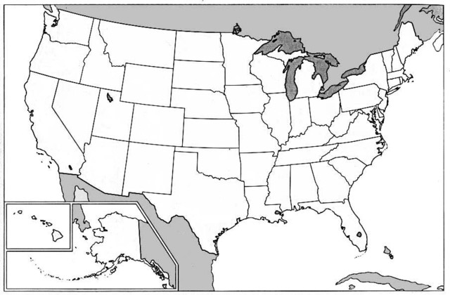 Black and white and gray blank printable map of the USA. State lines are marked but not labbeled.